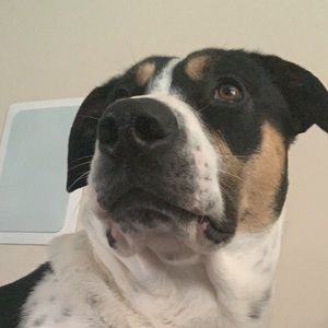 Meet your Posher, Meggan